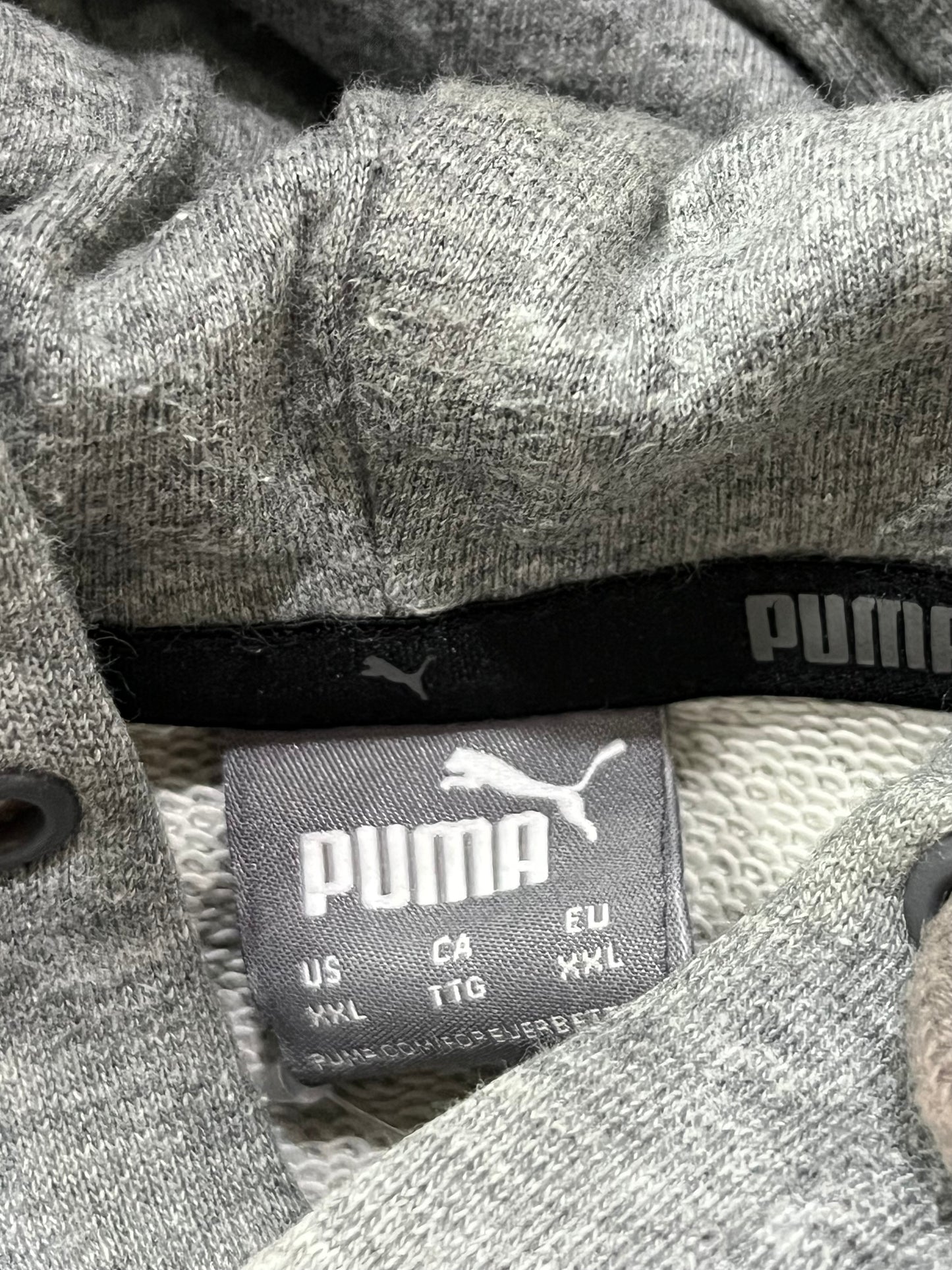 Puma