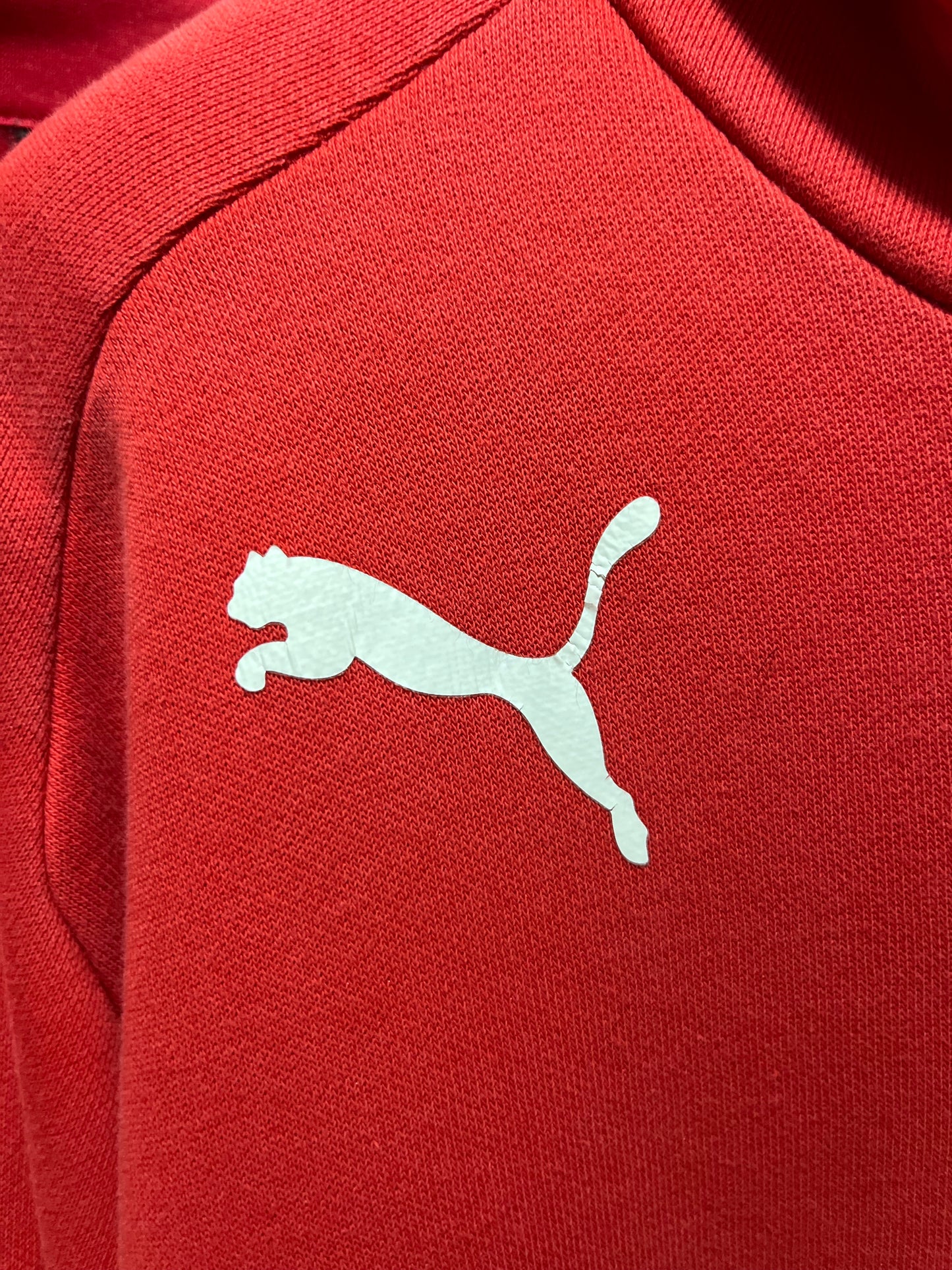 Puma