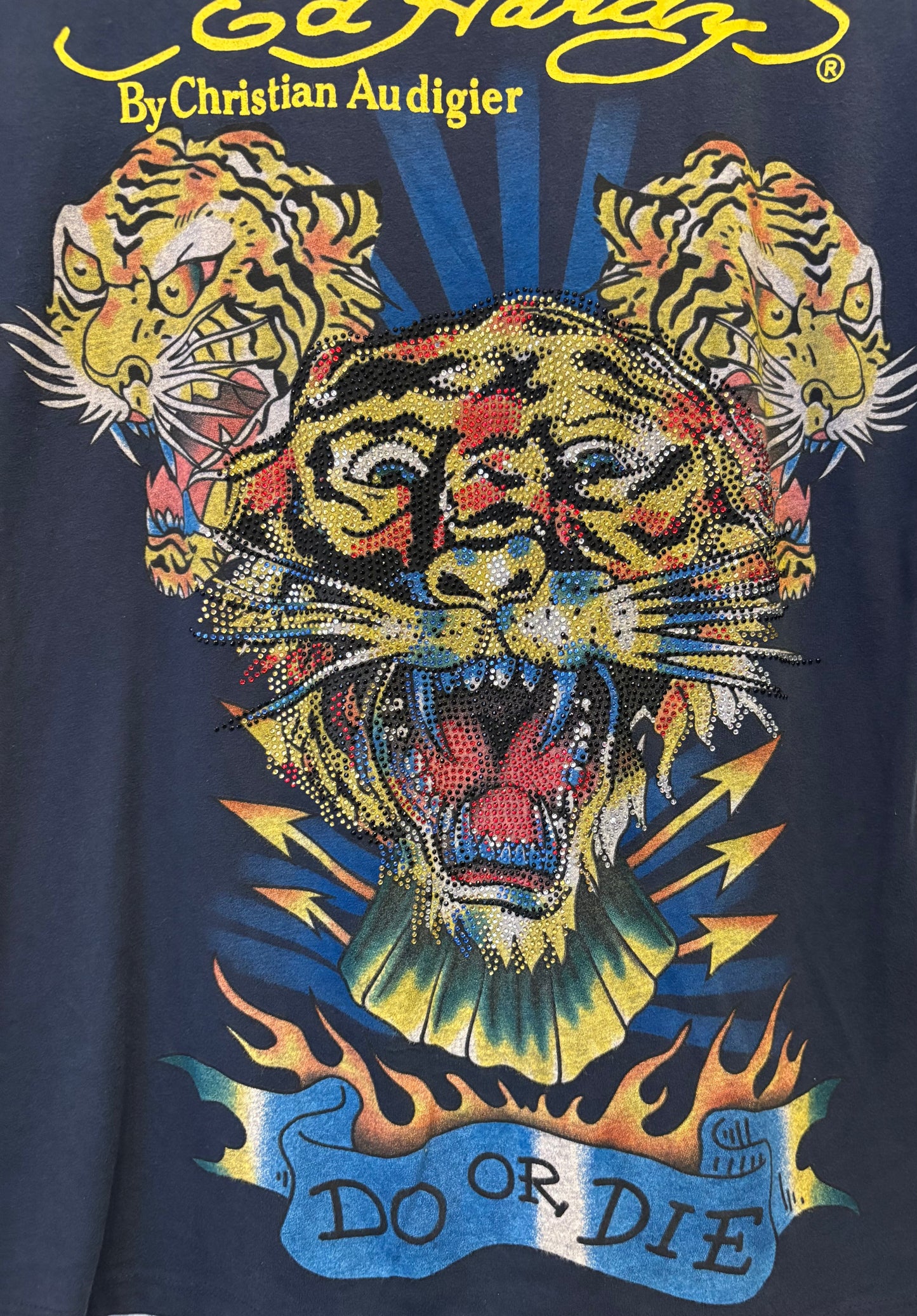 Ed Hardy by Christian Audigier